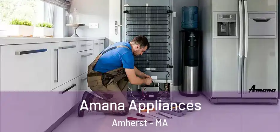  Amana Appliances Amherst - MA