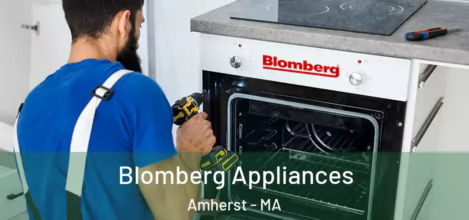  Blomberg Appliances Amherst - MA