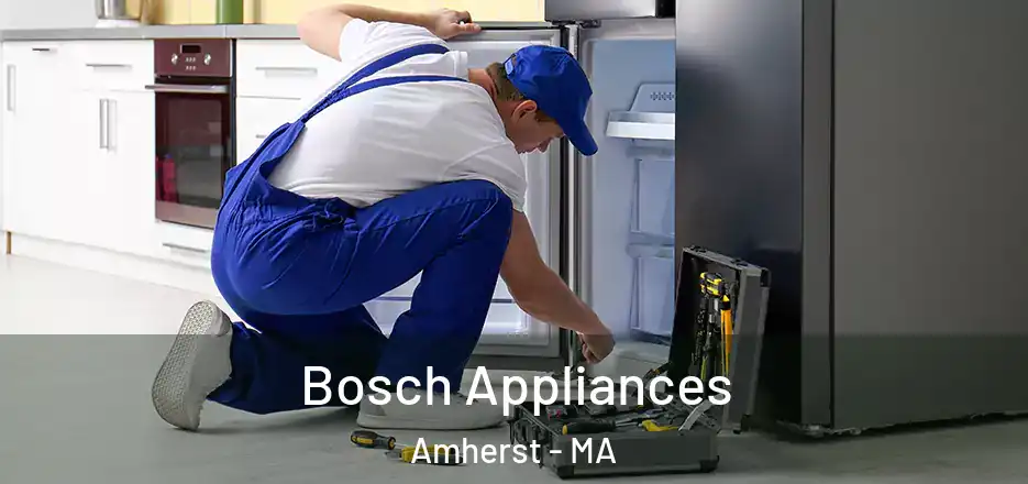  Bosch Appliances Amherst - MA