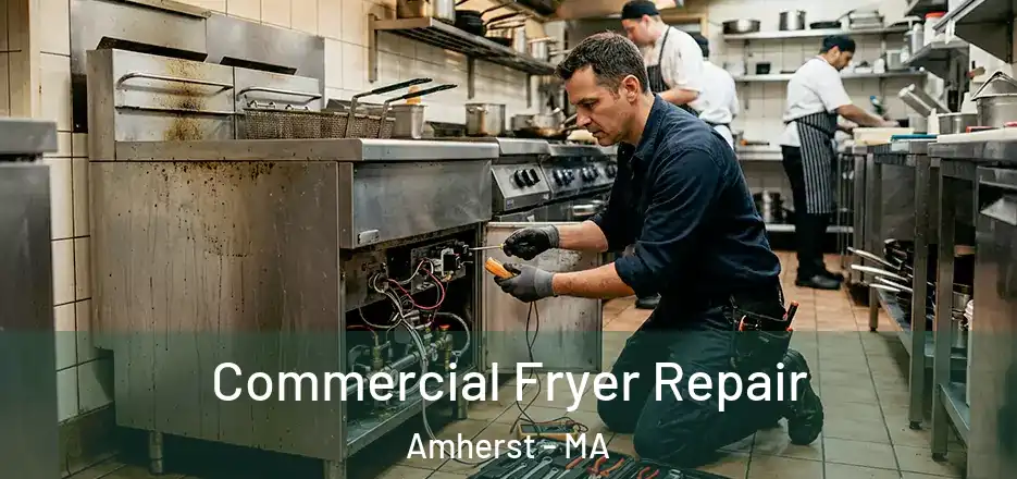  Commercial Fryer Repair Amherst - MA