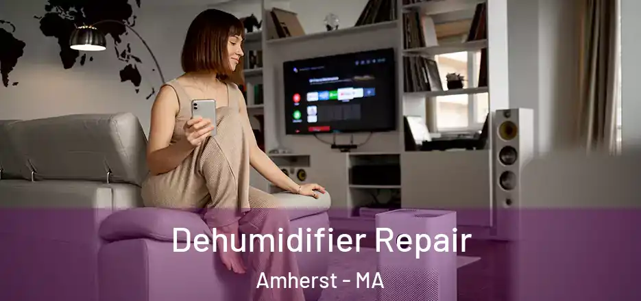  Dehumidifier Repair Amherst - MA