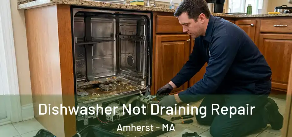  Dishwasher Not Draining Repair Amherst - MA