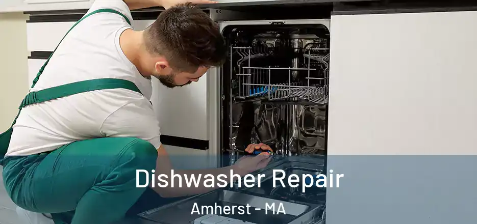  Dishwasher Repair Amherst - MA
