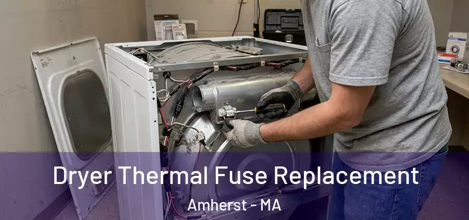  Dryer Thermal Fuse Replacement Amherst - MA