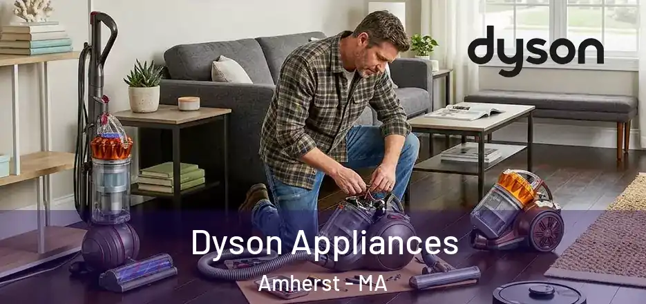  Dyson Appliances Amherst - MA