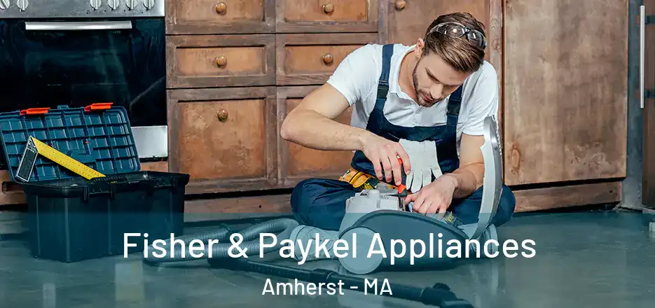  Fisher & Paykel Appliances Amherst - MA
