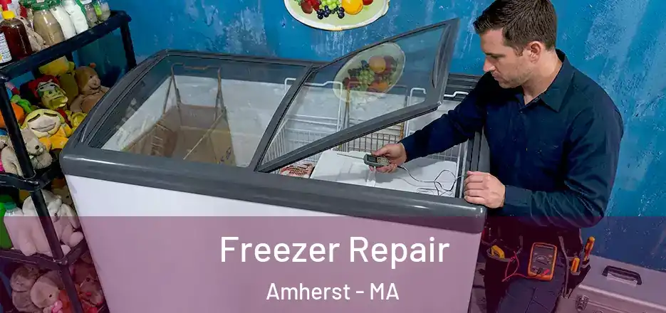 Freezer Repair Amherst - MA