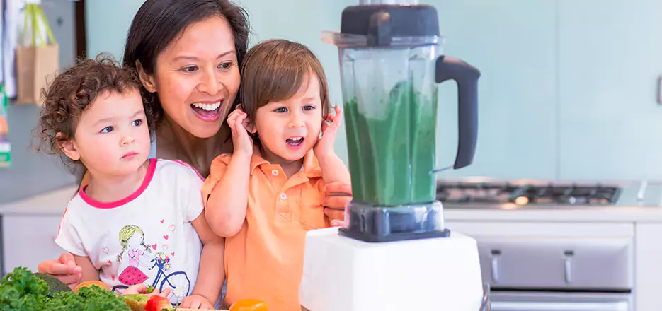 Juicer and Mixer Blender Repair in Amherst 