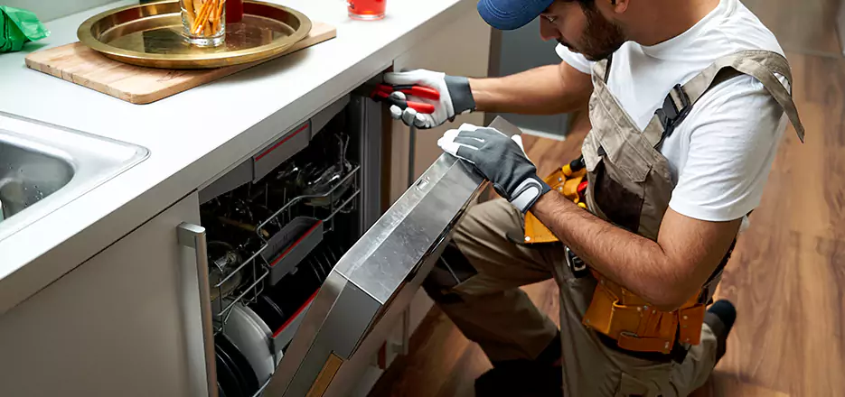Same Day Dishwasher Not Draining Repair in Amherst