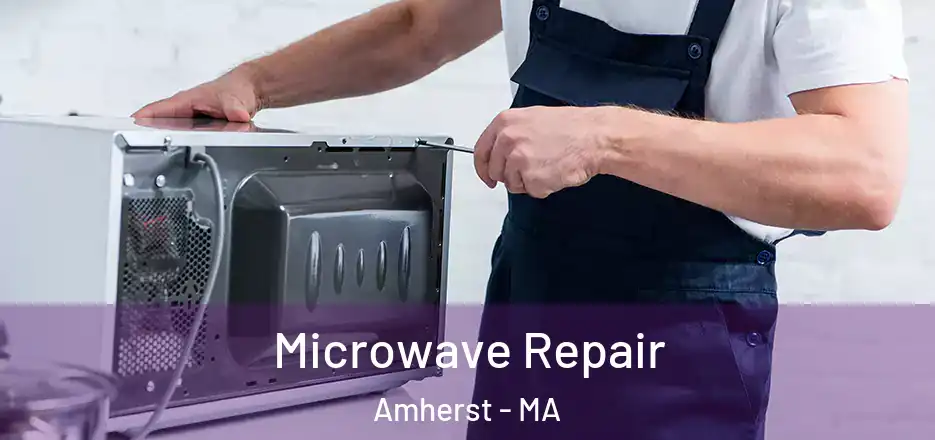  Microwave Repair Amherst - MA