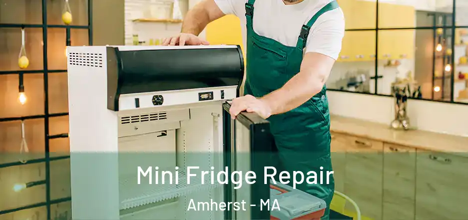  Mini Fridge Repair Amherst - MA
