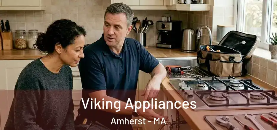  Viking Appliances Amherst - MA