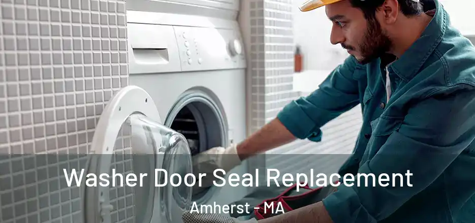  Washer Door Seal Replacement Amherst - MA