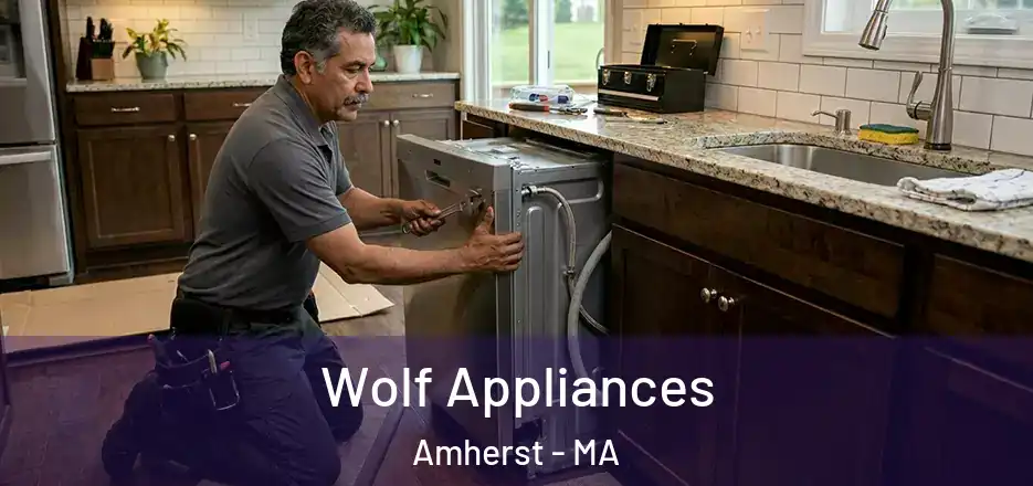  Wolf Appliances Amherst - MA